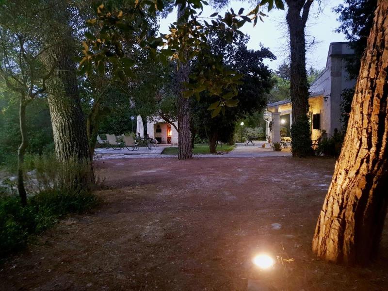 Villa Cenzina B&B - Genel