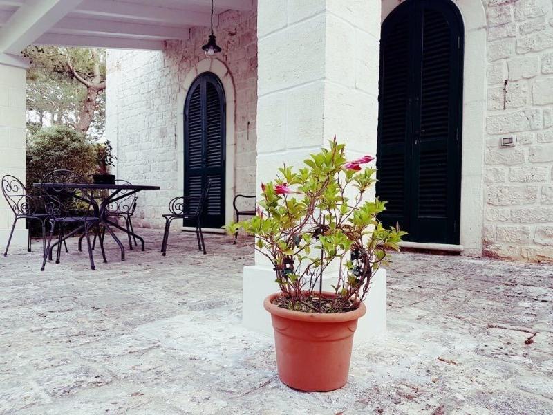 Villa Cenzina B&B - Genel