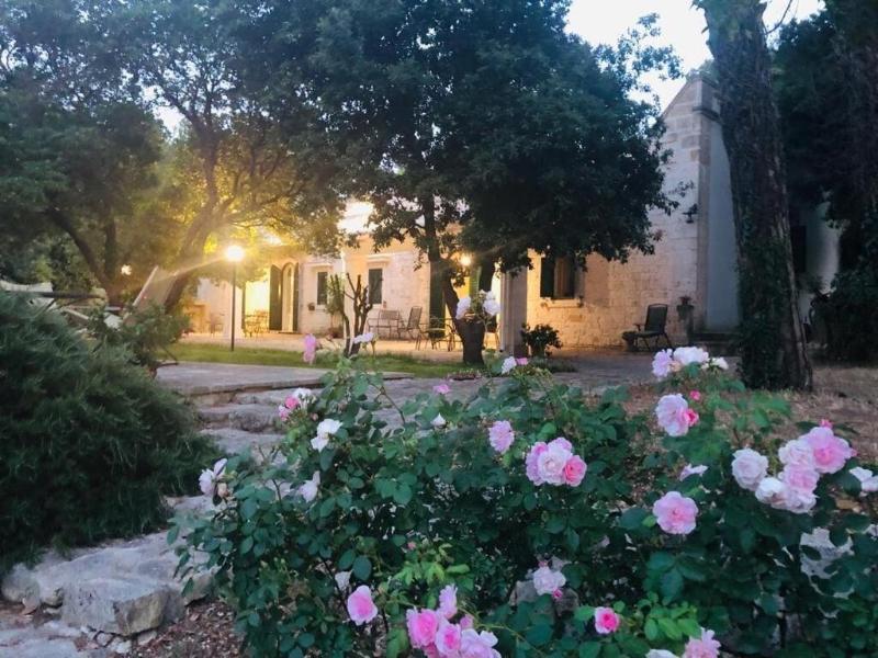 Villa Cenzina B&B - Genel