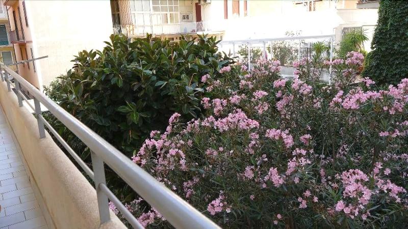 Fusorario B&B - Genel