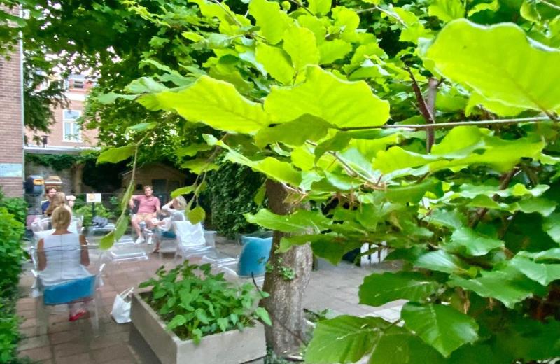 Boutiquehotel Staats - Teras