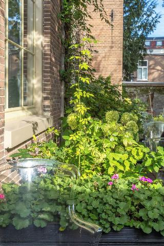 Boutiquehotel Staats fotoÄŸrafÄ±