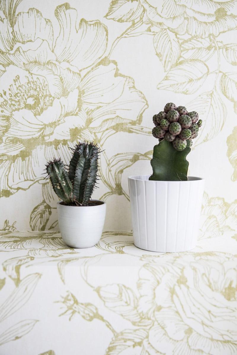 Serendipity Rooms - Lobi