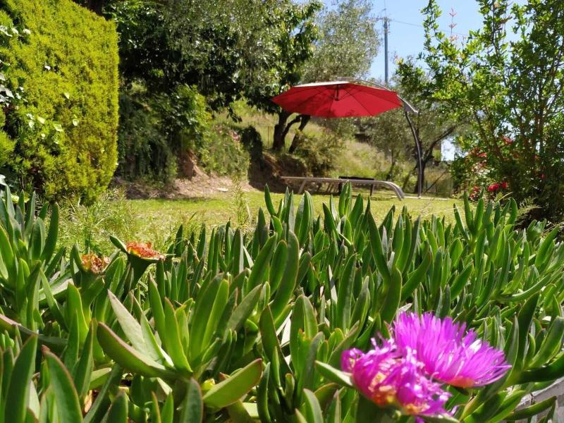 Il Murice B&B - Genel