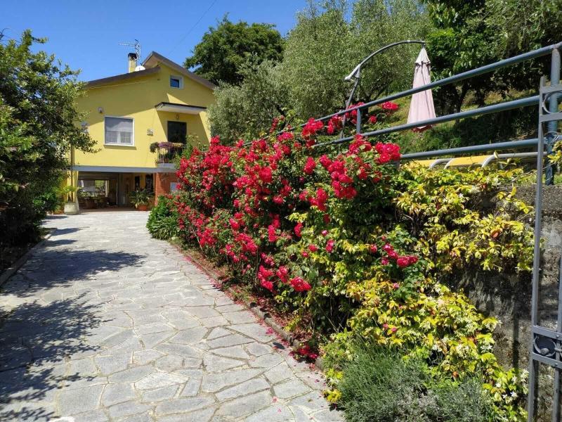 Il Murice B&B - Genel