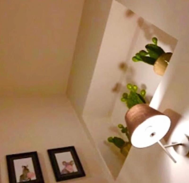 Home 146 - Oda