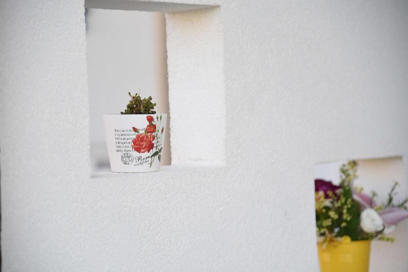 B&B Il Fiorone - Genel