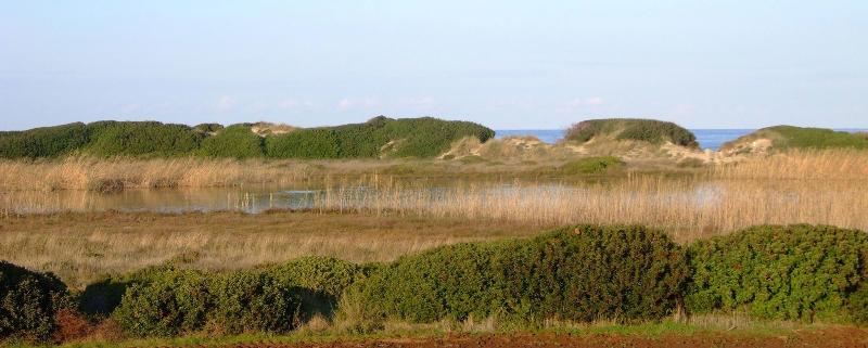 B&B Il Fiorone - Genel