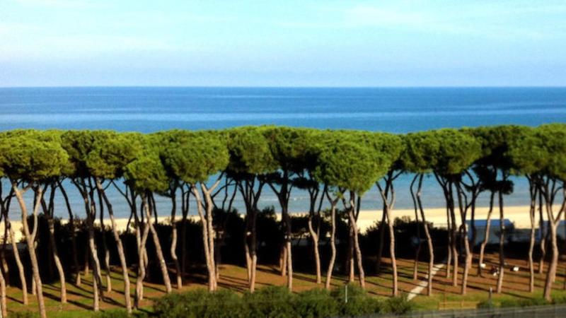 Pineto Resort - Genel