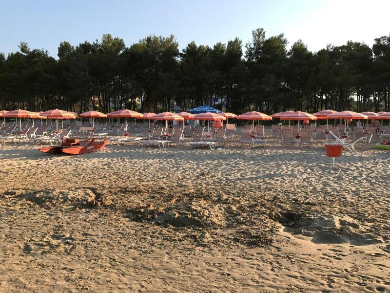 Pineto Resort - Plaj