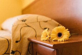Hotel Nilde fotoÄŸrafÄ±