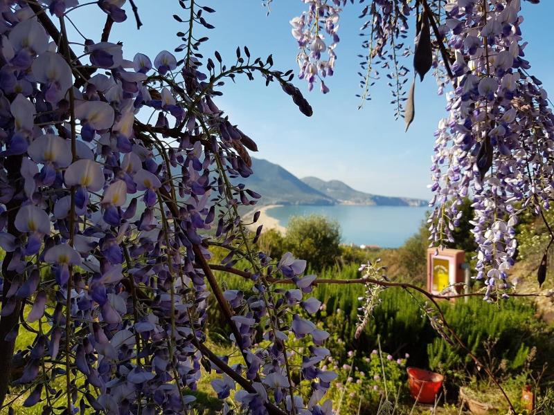 Hotel Sardus Pater - Genel