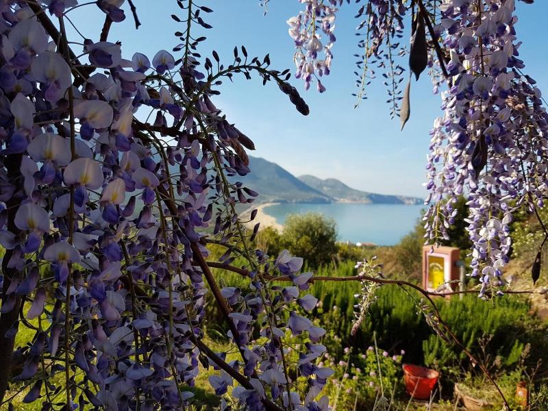 Hotel Sardus Pater - Genel