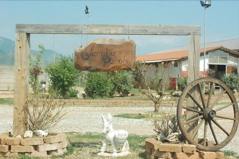 Villa Mirano B&B - Aktivite