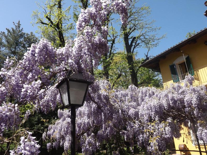 Villa Mirano B&B - Genel