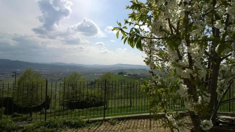 Greeneria - Genel
