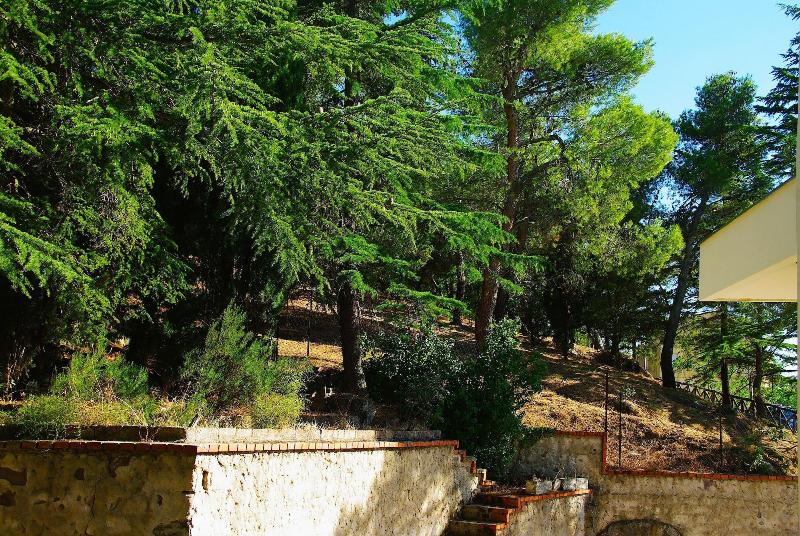 La Casa di Boz B&B - Oda