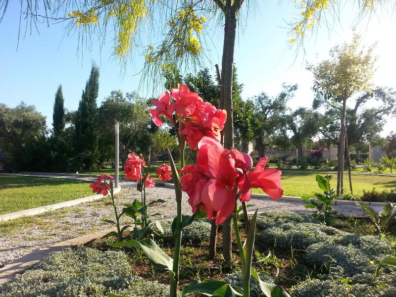 Willaria Country House - Genel