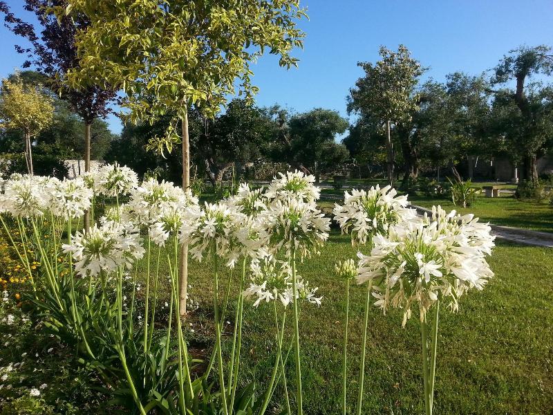 Willaria Country House - Genel