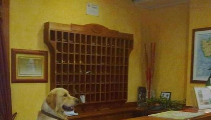 Hotel Riz - Lobi
