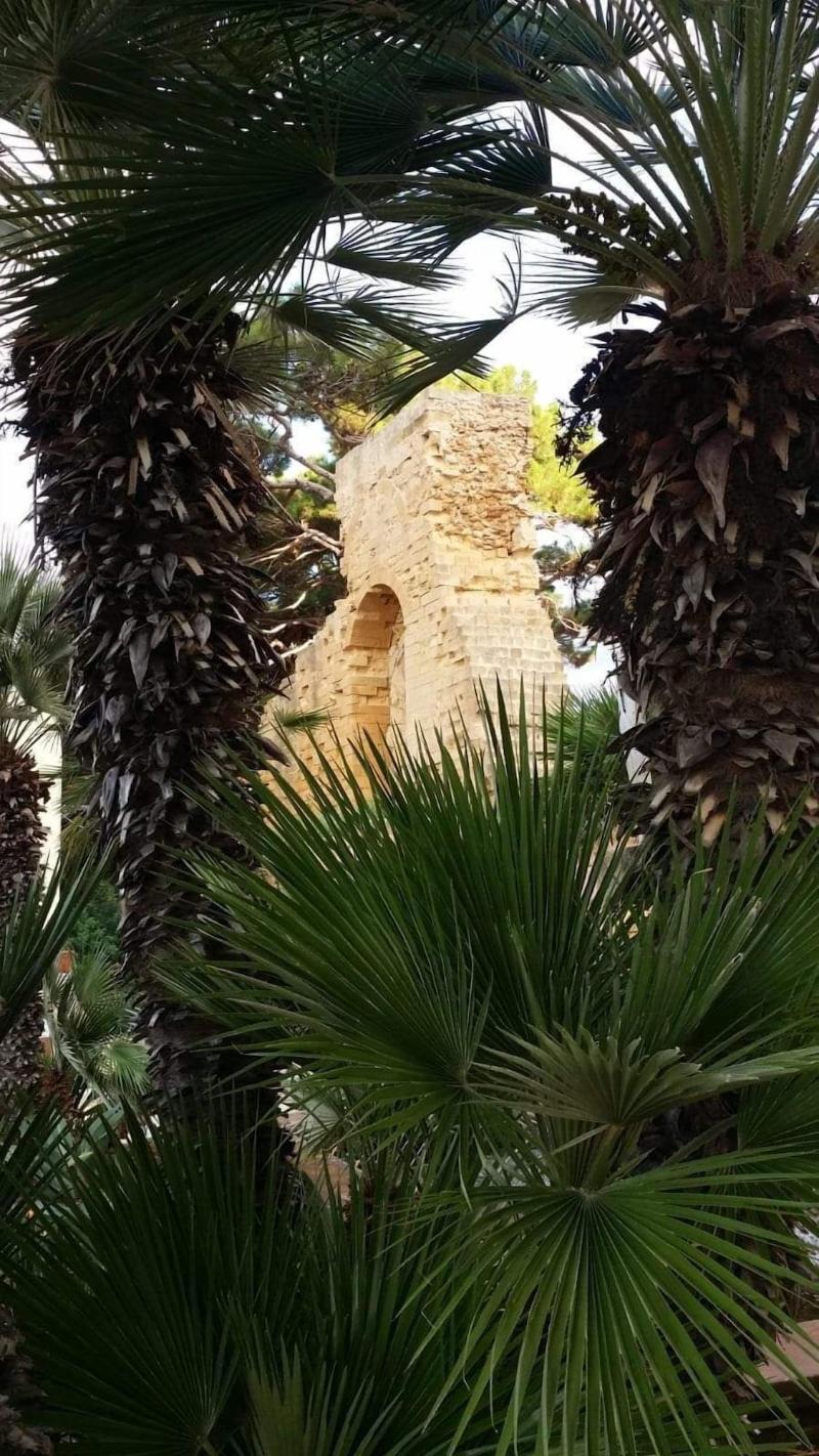 Mirabilia Arab House - Genel