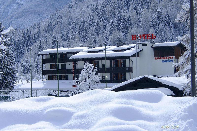 Hotel Davost - Genel
