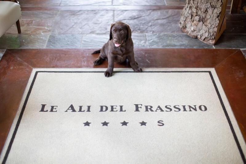 Le Ali Del Frassino - Lobi
