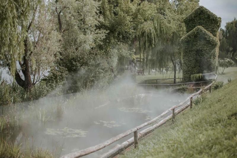 Le Ali Del Frassino - Genel