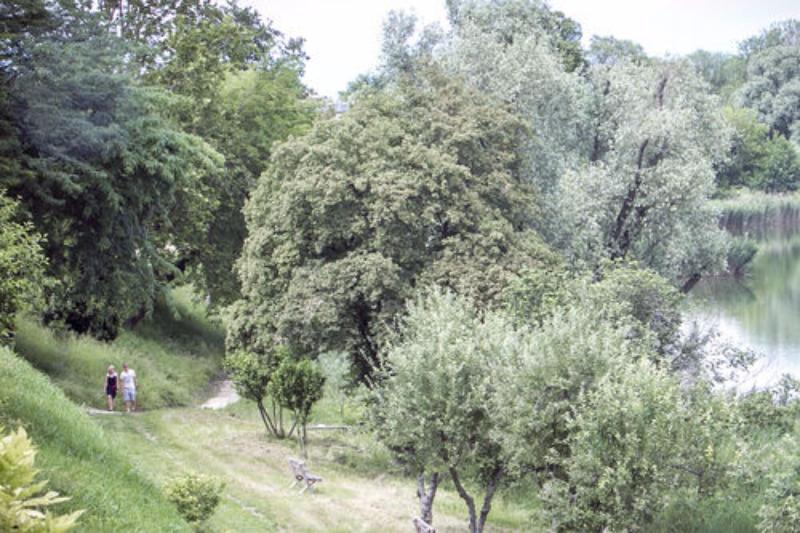 Le Ali Del Frassino - Genel