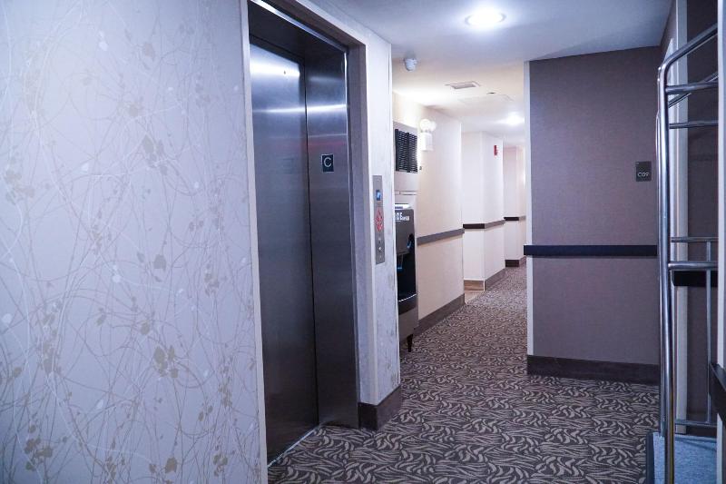 Hotel Mint Jfk Airport - Oda