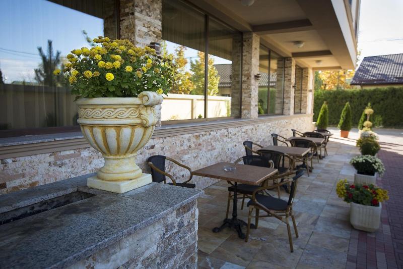 Hotel Aviator Boutique Otopeni - Genel