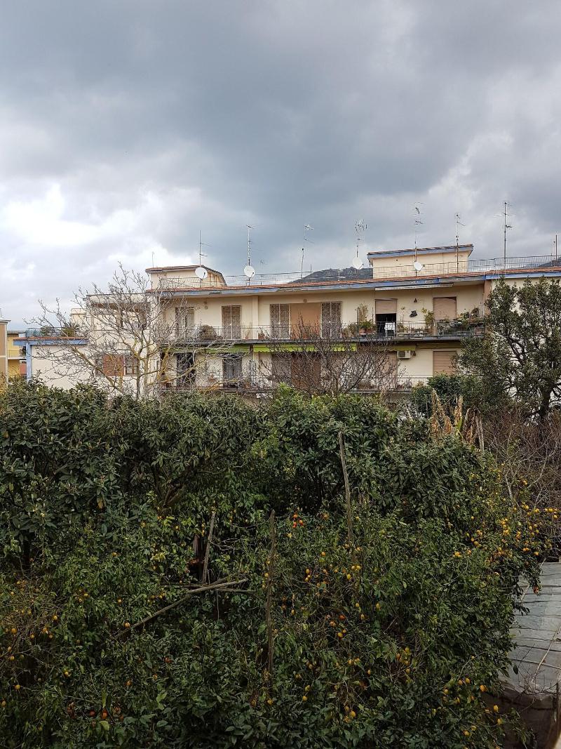 Casa Aristide - Genel