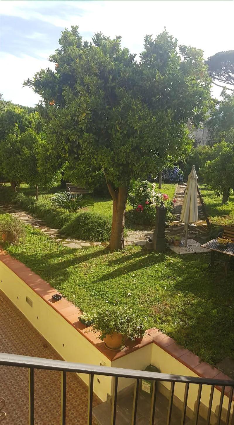 Bed & Breakfast Massico - Genel