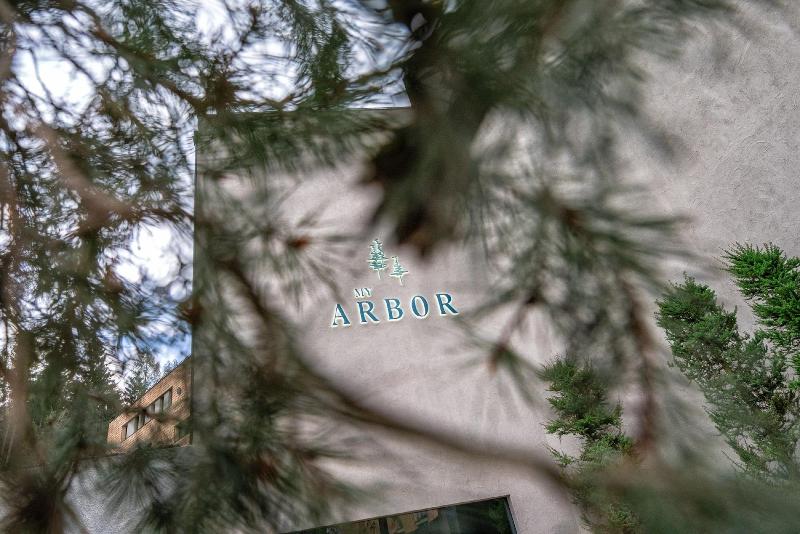 My Arbor - Plose Wellness Hotel - Genel