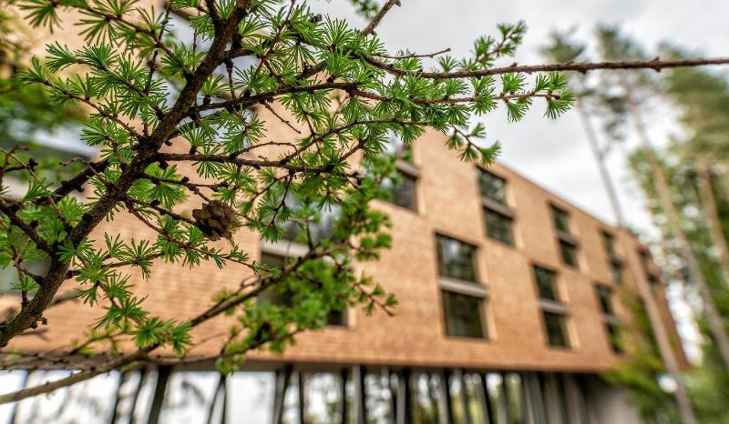 My Arbor - Plose Wellness Hotel - Genel