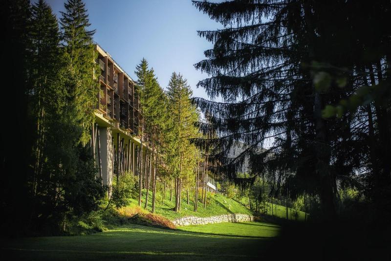 My Arbor - Plose Wellness Hotel - Genel