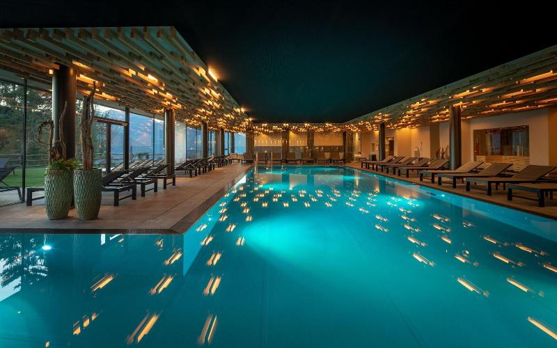 My Arbor - Plose Wellness Hotel - Havuz