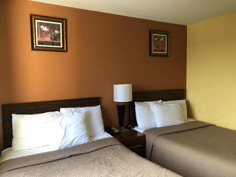 The Vue Hotel Express - Oda