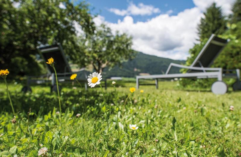 Alpinhotel Keil - Genel