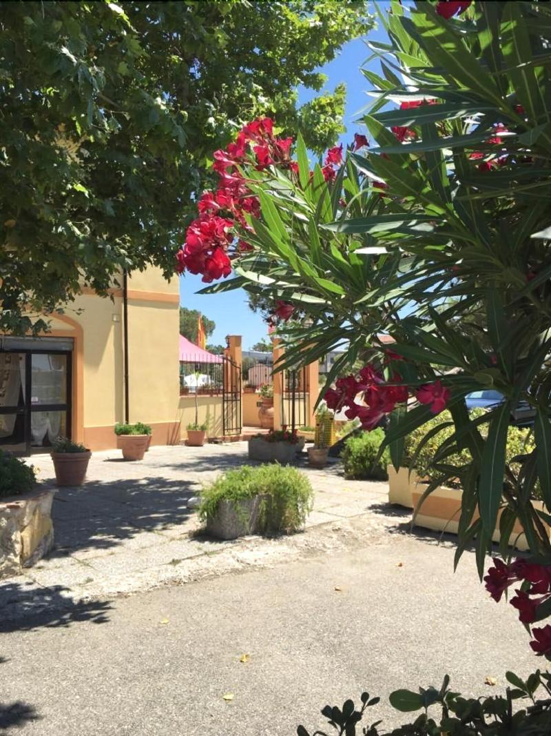 Hotel Il Malandrone - Genel