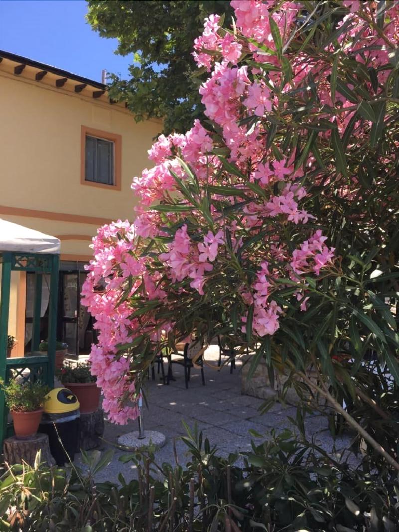 Hotel Il Malandrone - Teras