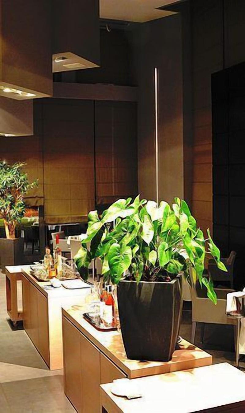 Link124 Hotel - Genel