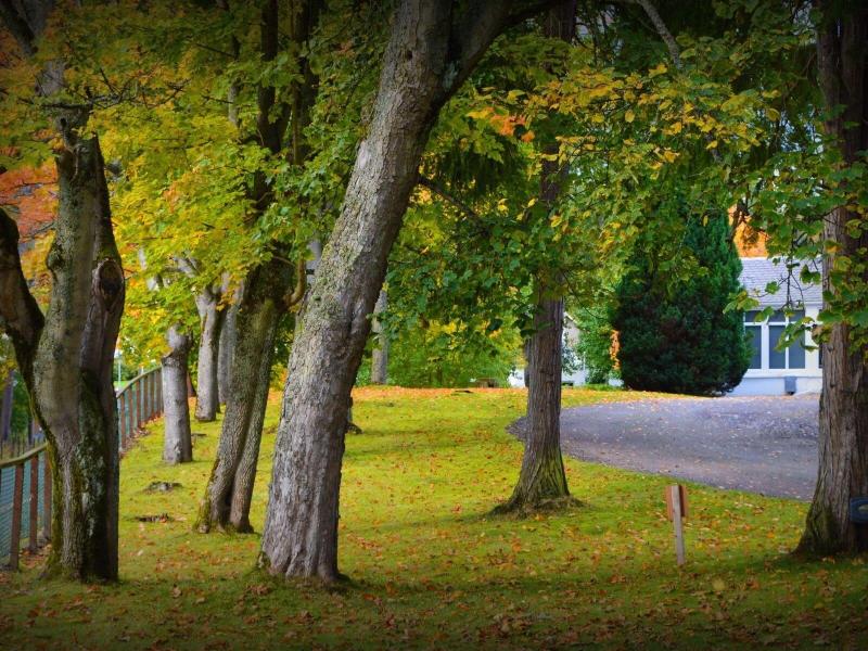 The Speyside Hotel - Genel