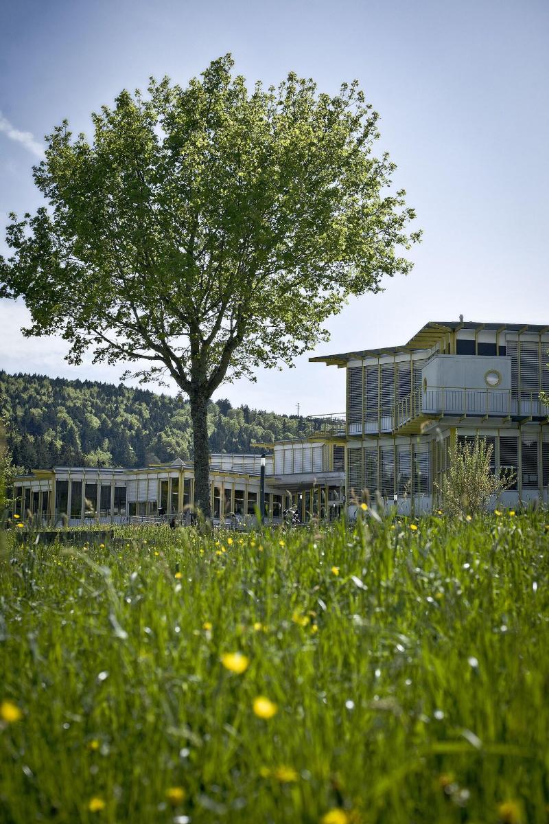 Hotel Cip - Genel
