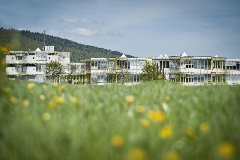 Hotel Cip - Genel