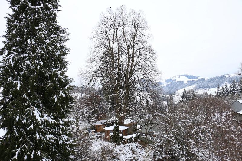 Hotel und Spezialitätenrestaurant zur Linde - Oda