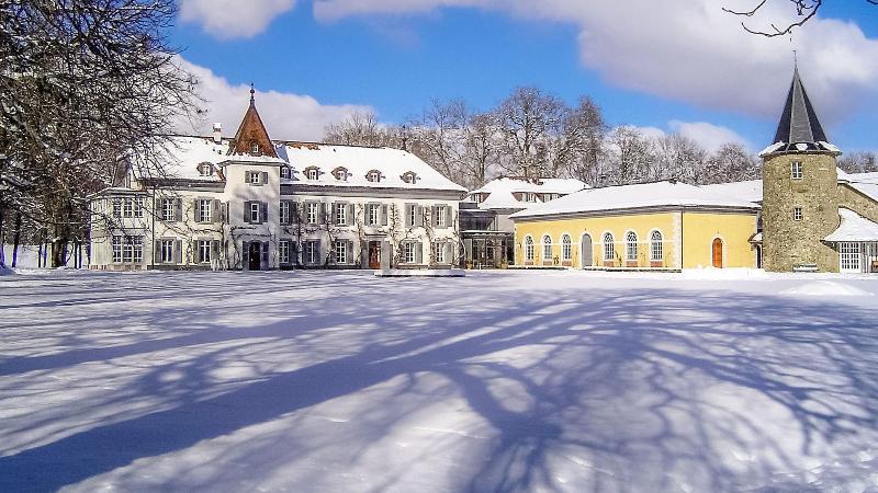 Château de Bossey - Genel