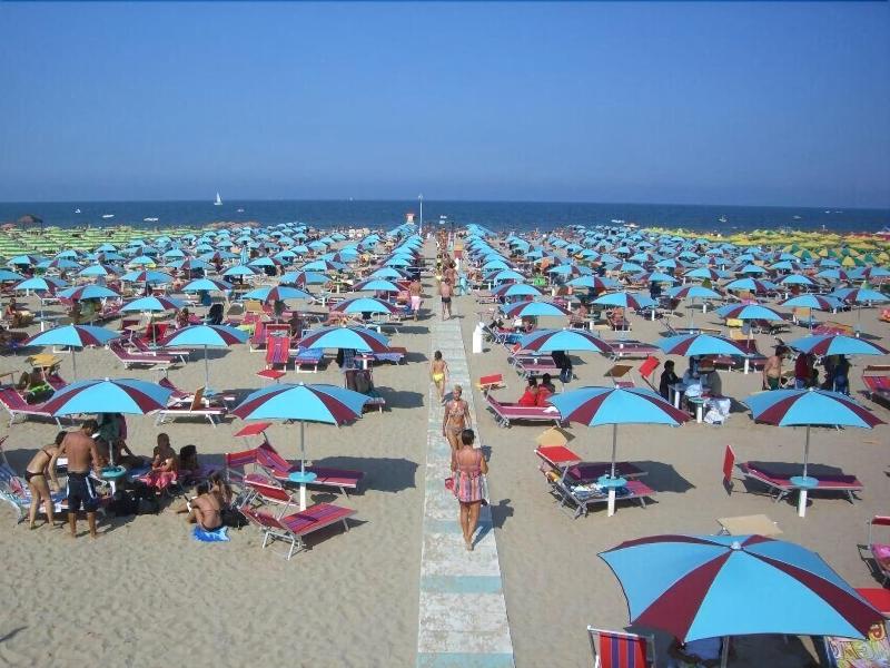 Hotel Diga - Genel