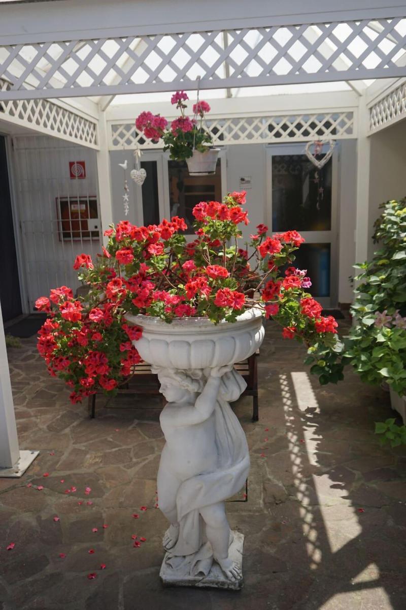 Hotel Diga - Genel