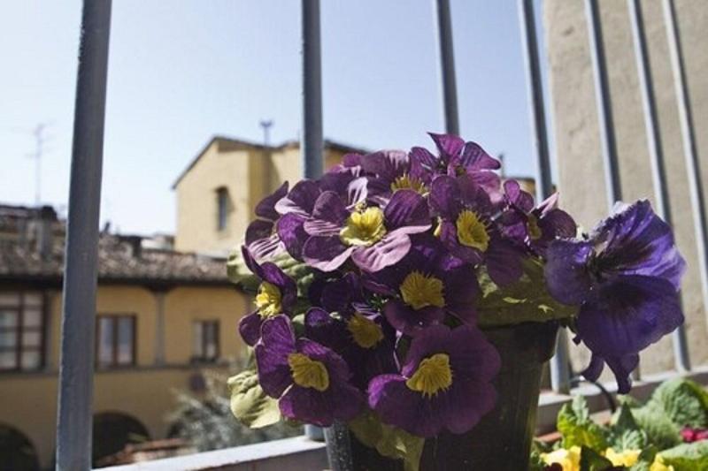 Hostel Santa Monaca - Genel